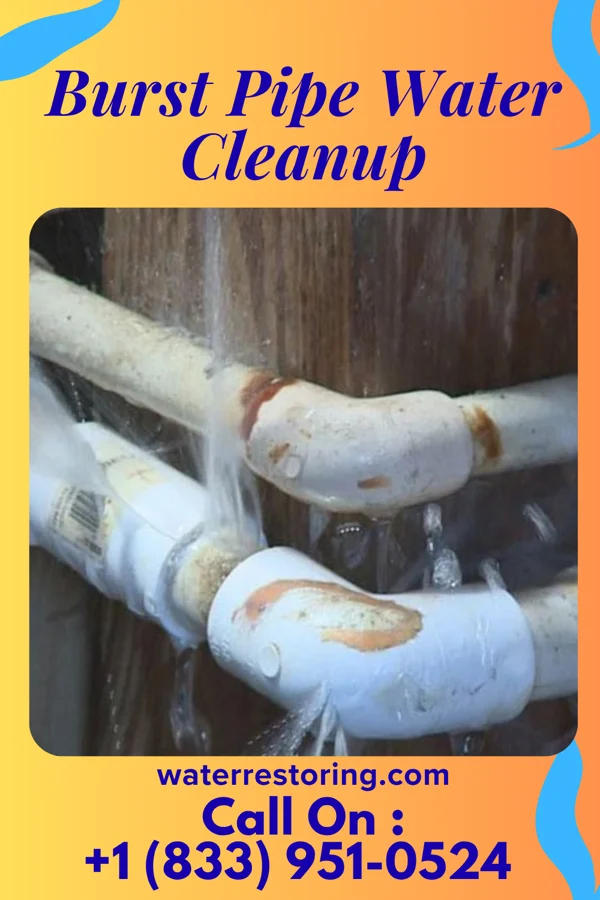 Burst Pipe Water Cleanup in Dry Tavern, PA
