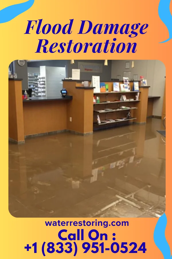 Flood Damage Restoration in Dry Tavern, PA