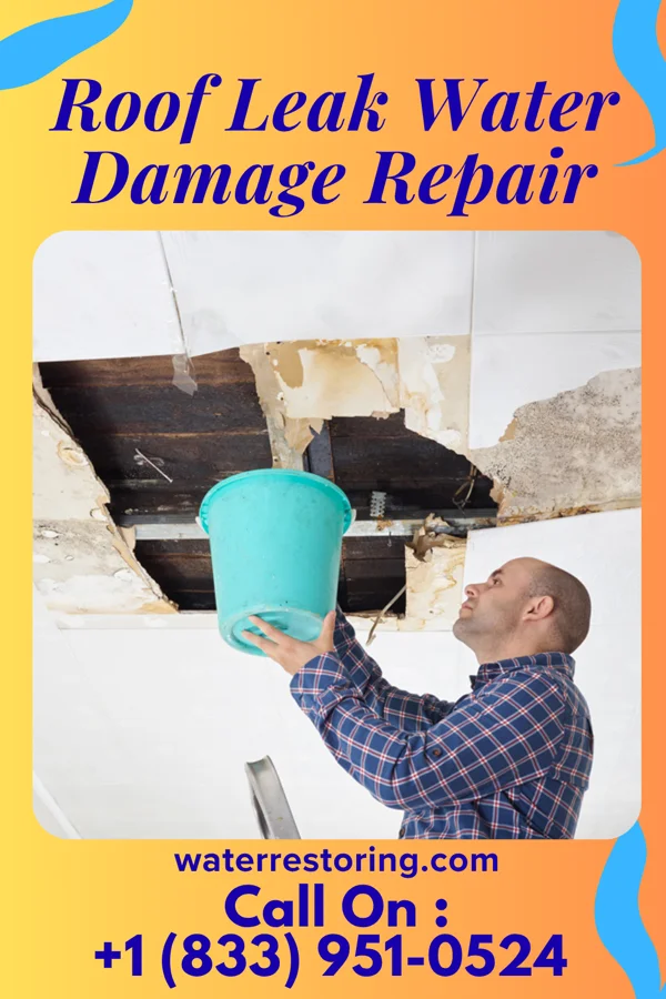Roof Leak Water Damage Repair in Dry Tavern, PA