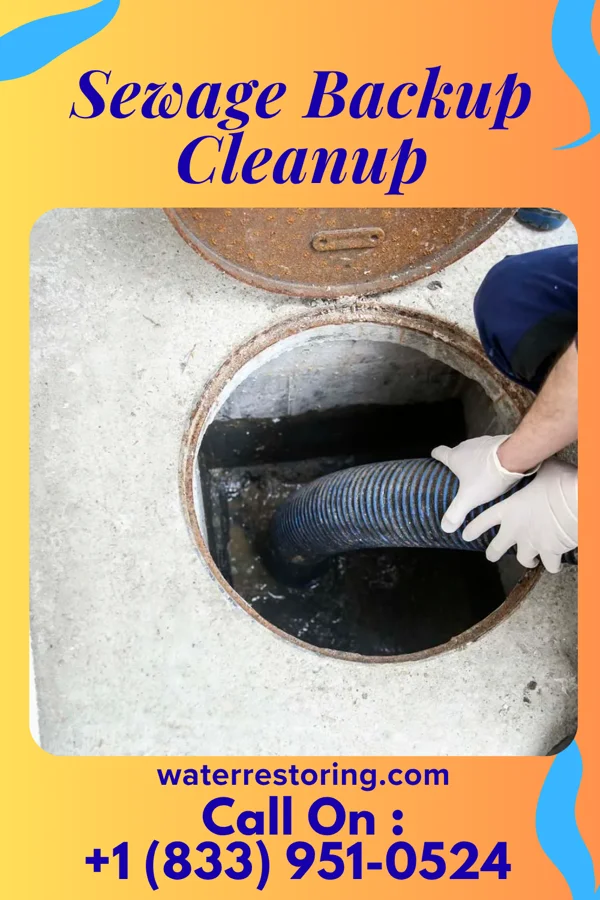 Sewage Backup Cleanup in Dry Tavern, PA