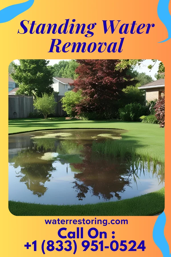 Standing Water Removal in Dry Tavern, PA